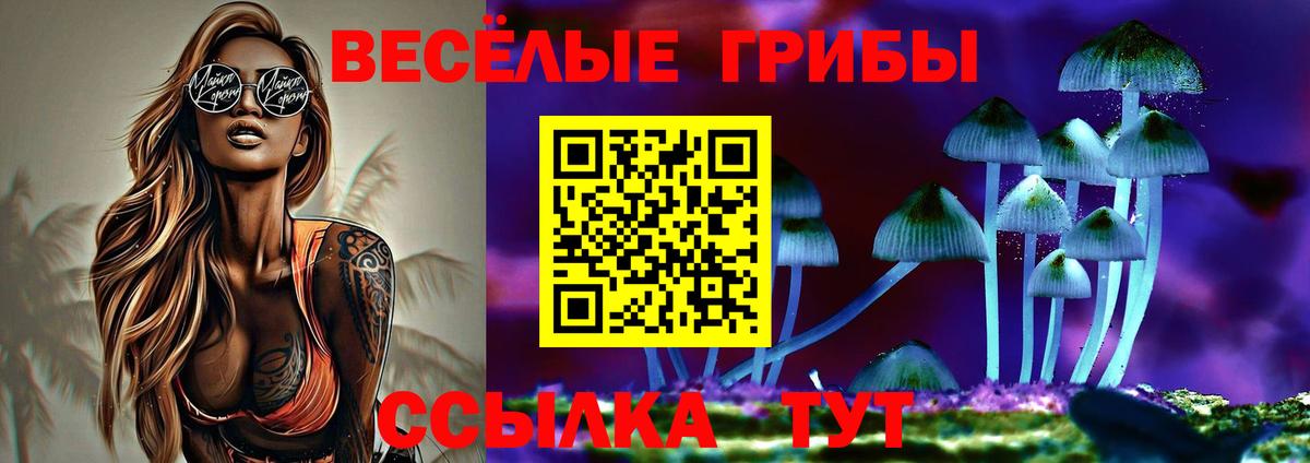 Псилоцибиновые грибы мицелий  Вход с VPN  Ялта 