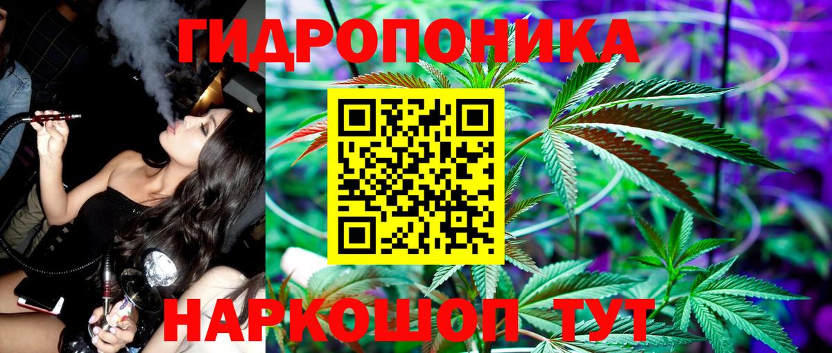 Шишки марихуана Amnesia Ялта